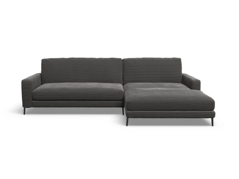 LOXL Medium R